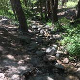 Review photo of Buckhorn Campground by C N., August 28, 2019