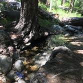 Review photo of Buckhorn Campground by C N., August 28, 2019