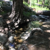 Review photo of Buckhorn Campground - Temporarily Closed by C N., August 28, 2019