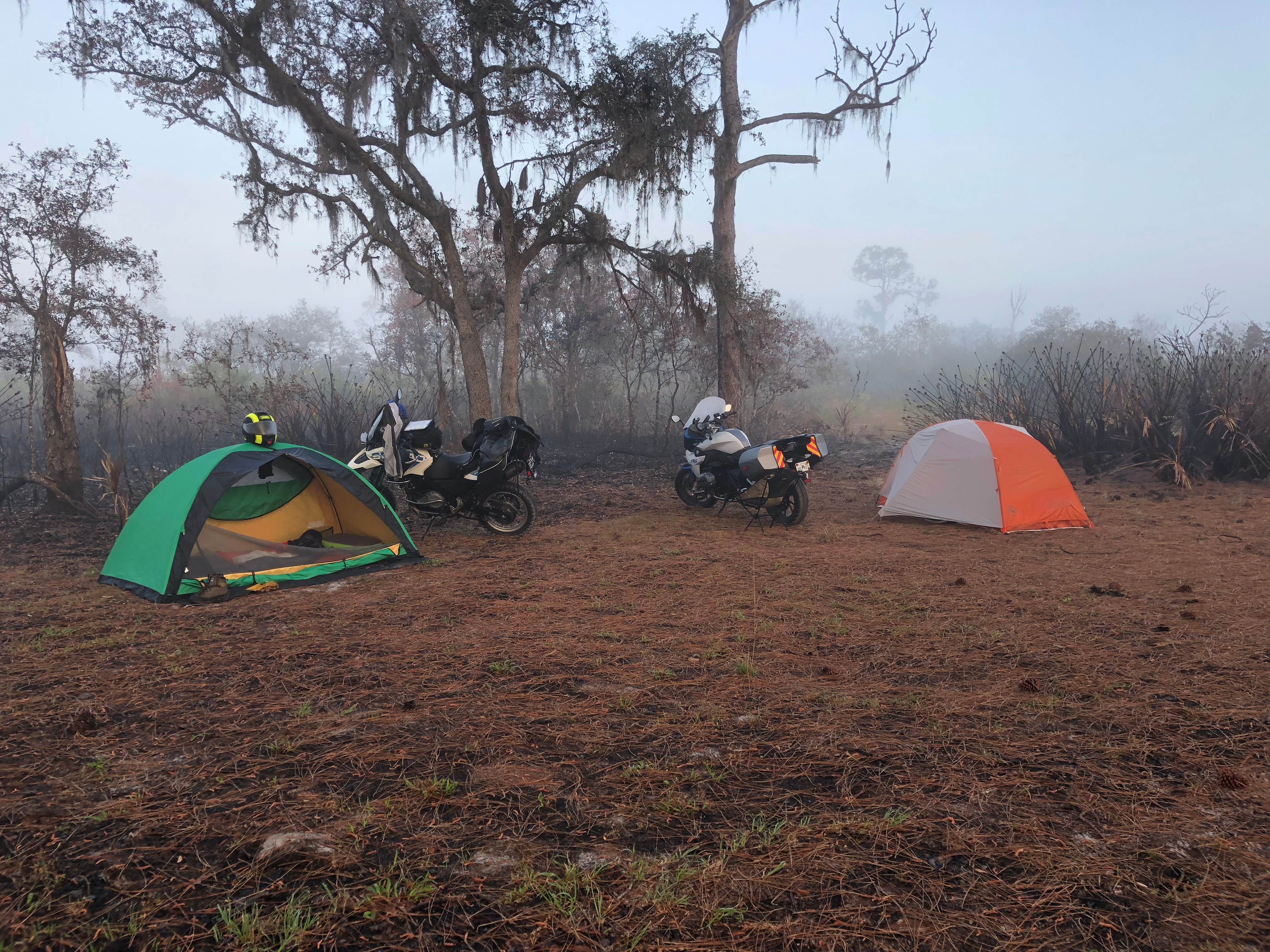 Joe D.'s photo of tent camping at Highlands Hammock State Park Campground near Frostproof, FL