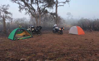 Joe D.'s photo at Highlands Hammock State Park Campground near Lake Placid, FL