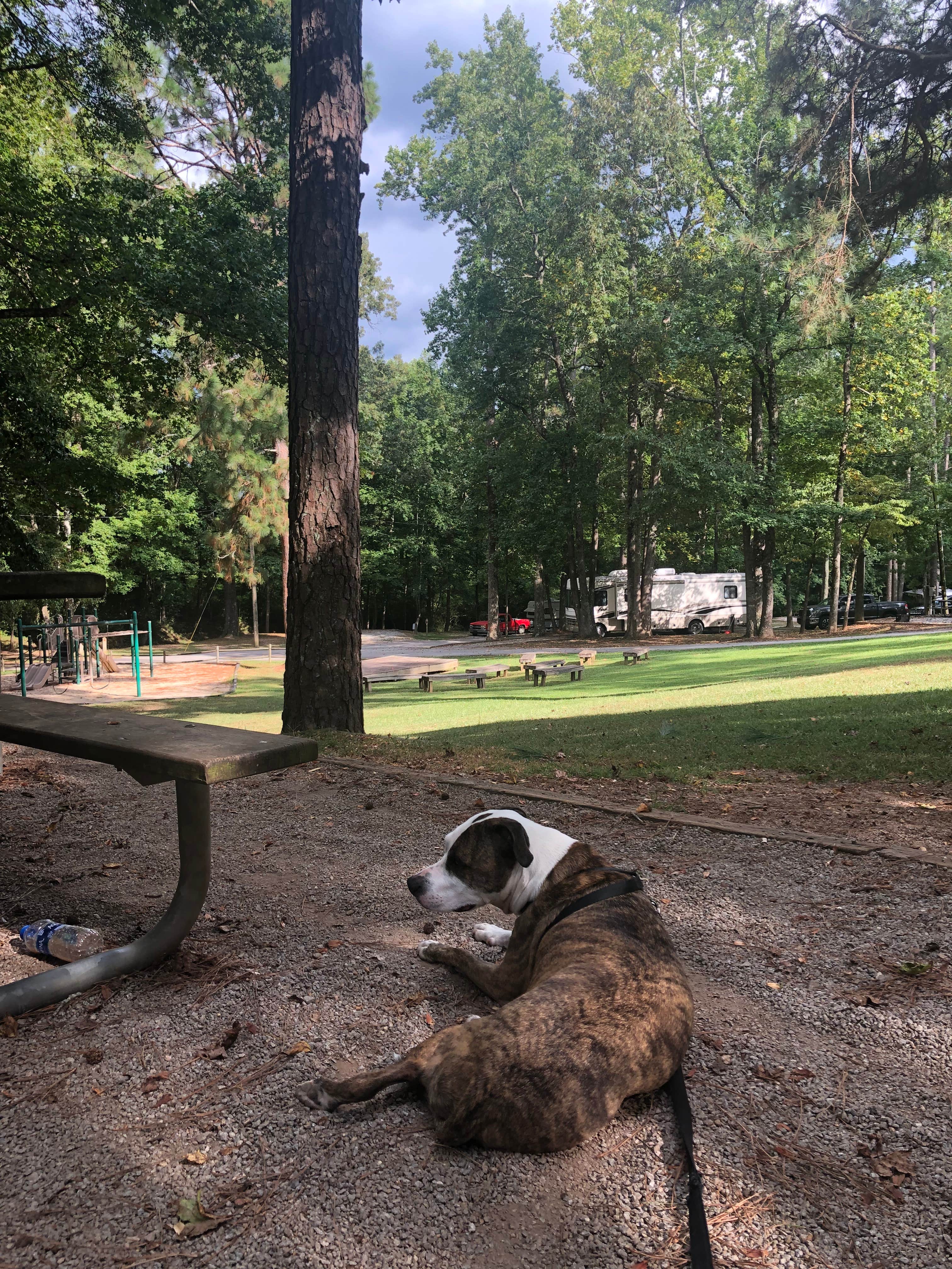 Camper-submitted photo at John Tanner Park Campground near Winston, GA