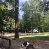 Review photo of John Tanner Park Campground by Dori H., August 28, 2019