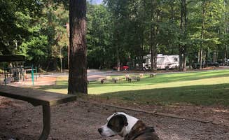 Dori H.'s photo of camping with pets at John Tanner Park Campground near Dallas, GA