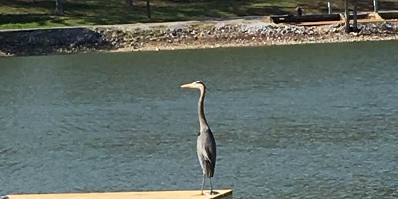 Camper submitted image from Chester Frost Park