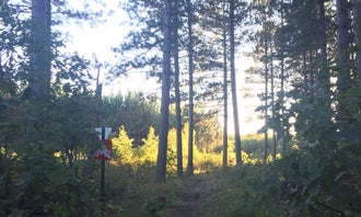 Camping near Andersons Crossing: Huntersville Forest Landing, Horton, Minnesota