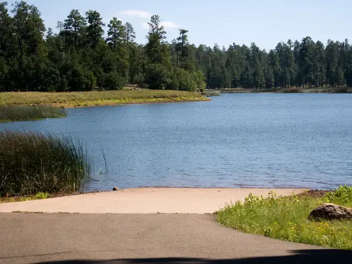 Camper-submitted photo at White Horse Lake Campground near Williams, AZ
