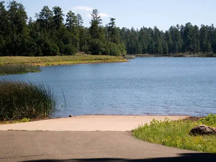 Camper submitted image from White Horse Lake Campground - 1