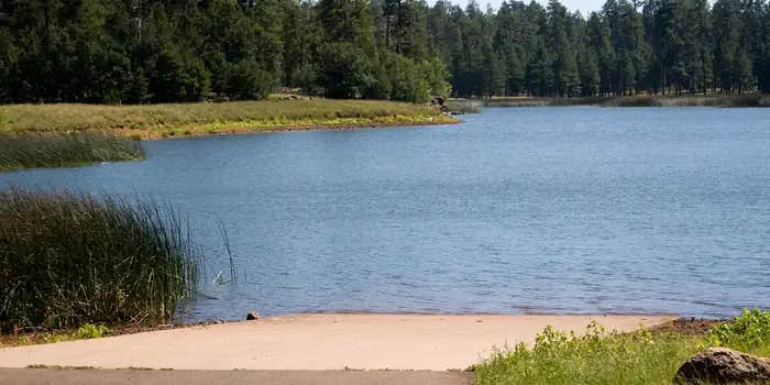 Camper submitted image from White Horse Lake Campground