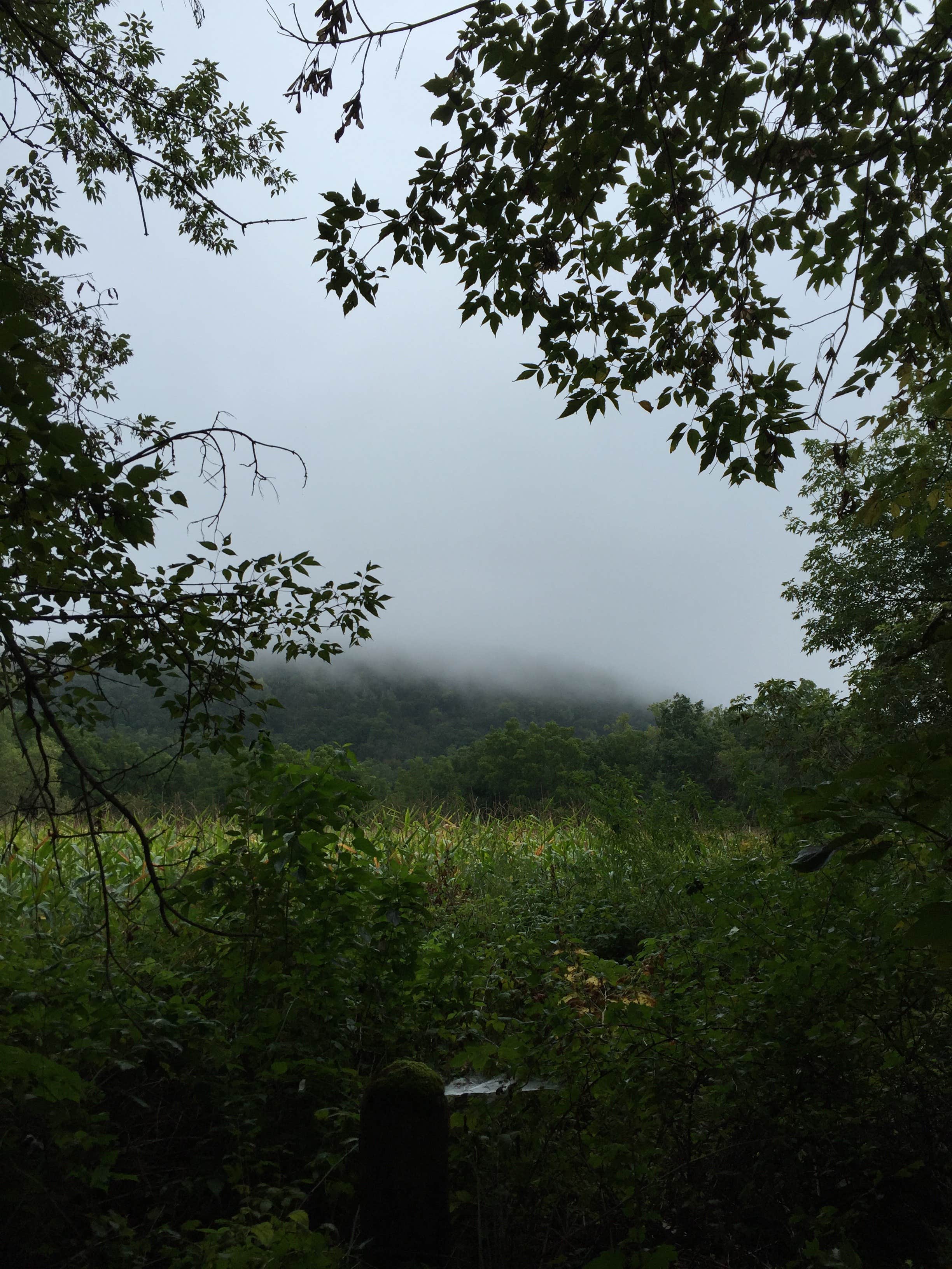 Camper-submitted photo at Snake River Campground near Brook Park, MN