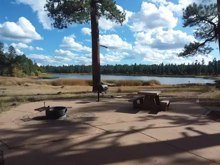 Camper-submitted photo at White Horse Lake Campground near Williams, AZ