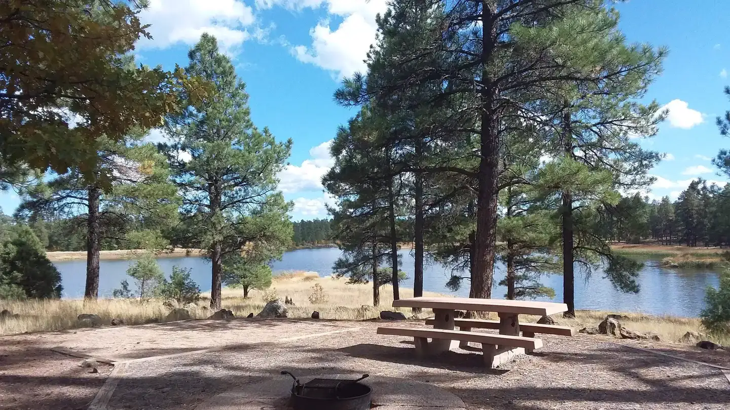 Camper-submitted photo at White Horse Lake Campground near Williams, AZ