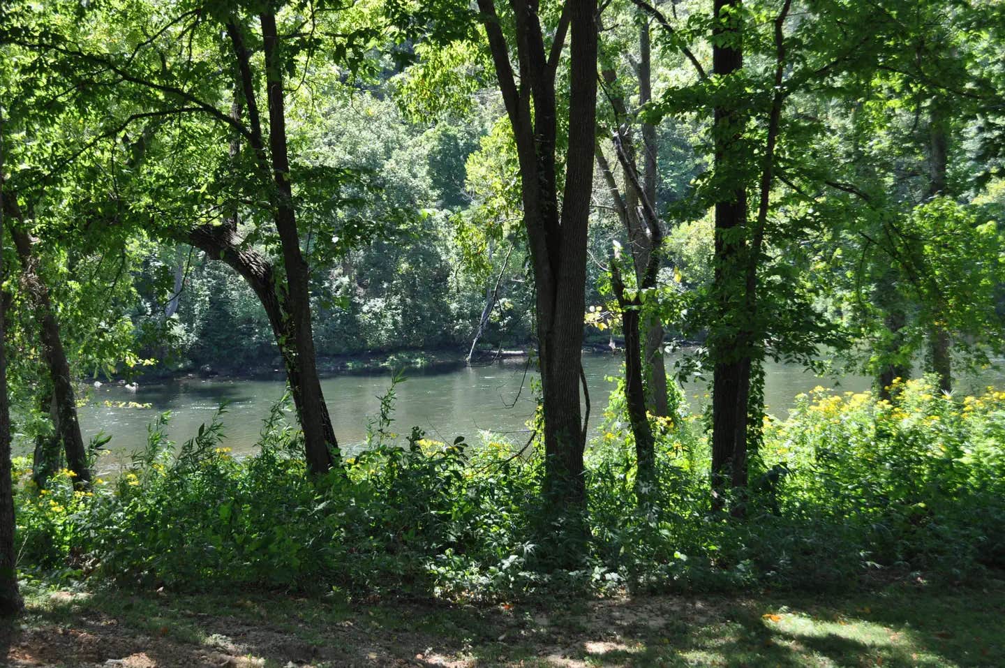 Camper submitted image from Dam - Quarry - 1