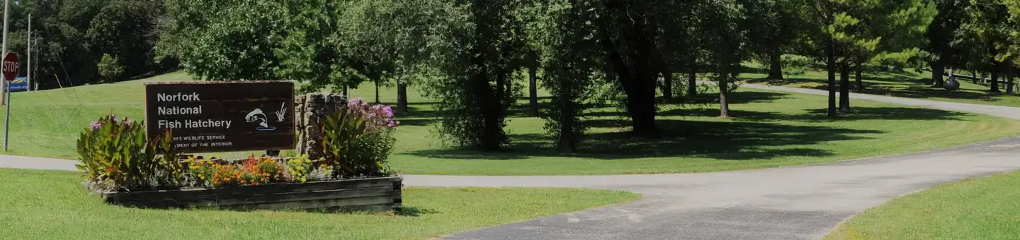 Camper-submitted photo at Dam - Quarry near Norfork, AR