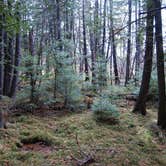 Review photo of Hayes Lake State Park Campground by Jen A., August 28, 2019