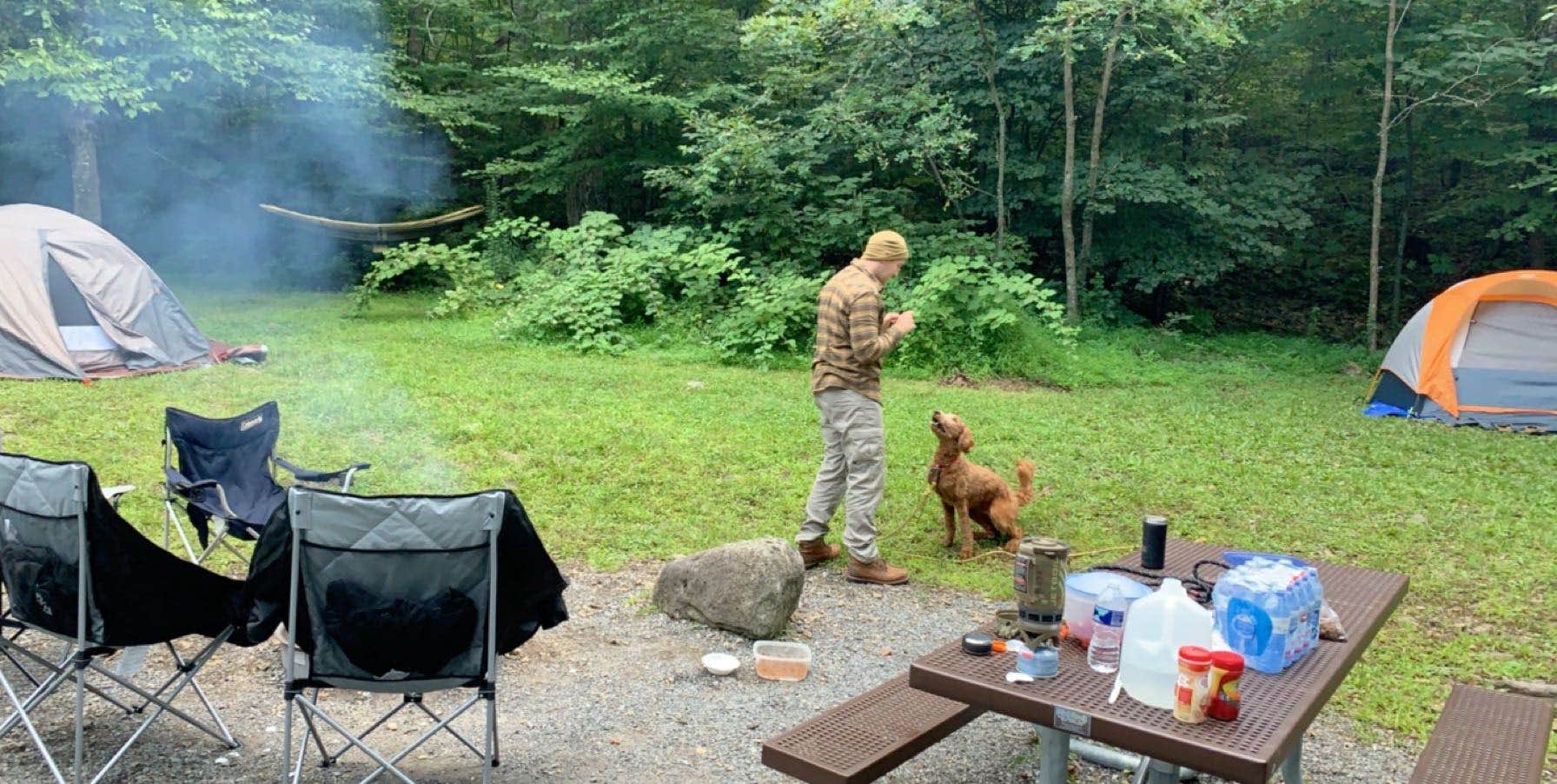 Christopher H.'s photo of camping with pets at Mathews Arm Campground — Shenandoah National Park near Winchester, VA