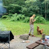 Review photo of Mathews Arm Campground — Shenandoah National Park by Christopher H., August 28, 2019