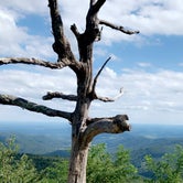 Review photo of Mathews Arm Campground — Shenandoah National Park by Christopher H., August 28, 2019