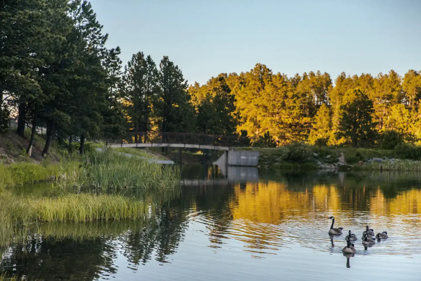 Camping near Black Fox Campground: Roubaix Lake, Nemo, South Dakota