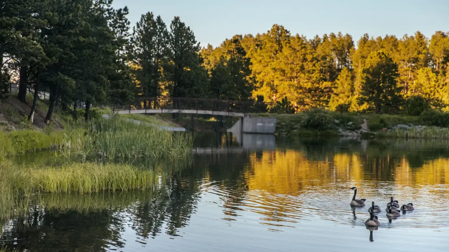 Camper-submitted photo at Roubaix Lake near Piedmont, SD