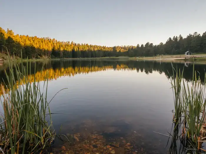 Camper-submitted photo at Roubaix Lake near Piedmont, SD