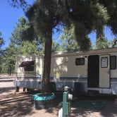 Review photo of Williams-Circle Pines KOA by Dave N., August 28, 2019