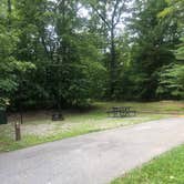 Review photo of Bandy Creek Campground — Big South Fork National River and Recreation Area by Lori H., August 28, 2019