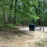 Review photo of Bandy Creek Campground — Big South Fork National River and Recreation Area by Lori H., August 28, 2019