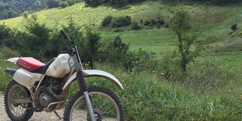 Camper submitted image from Snake River Campground