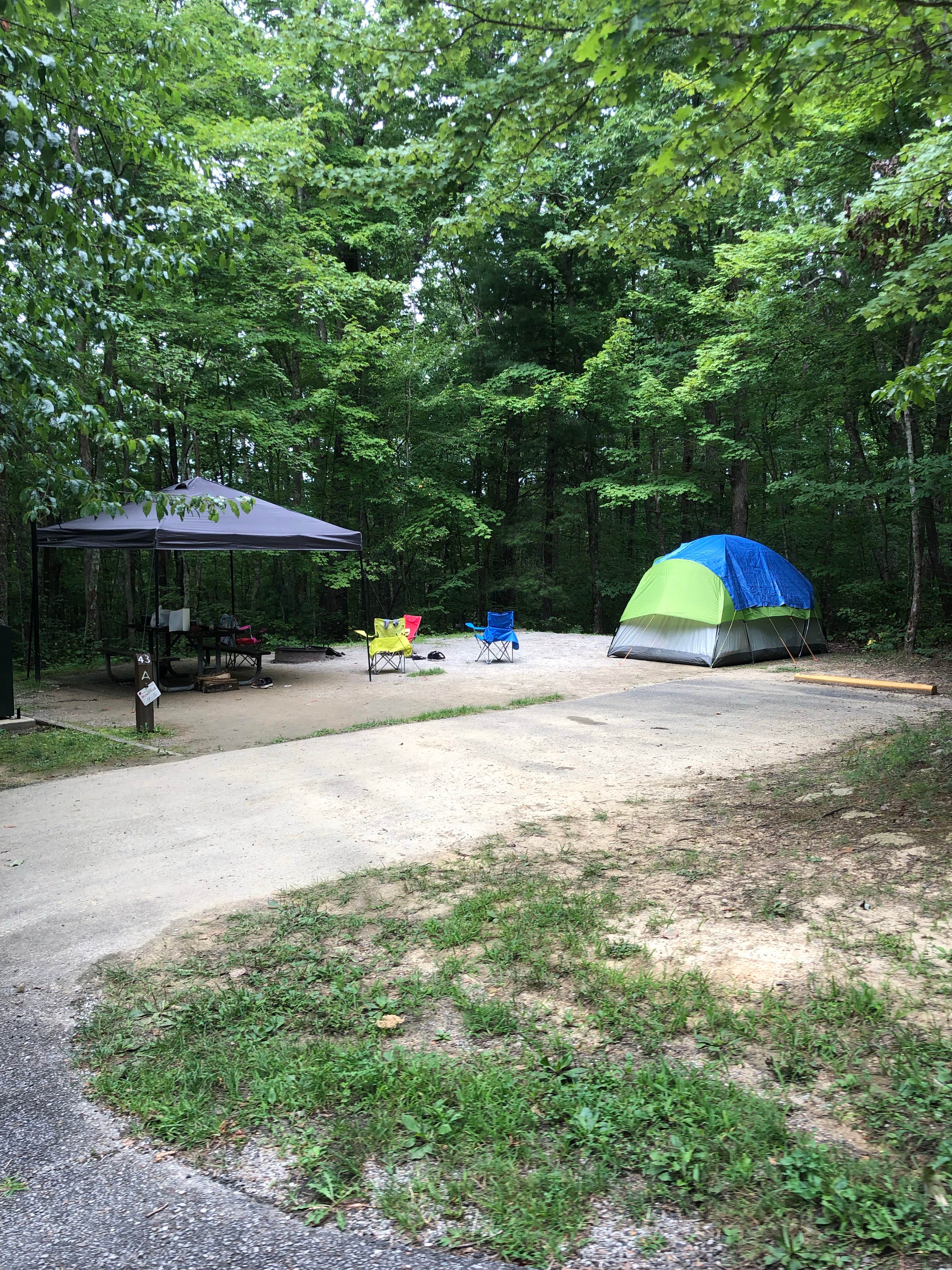 Lori H.'s photo at Bandy Creek Campground — Big South Fork National River and Recreation Area near Jamestown, TN