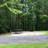 Review photo of Bandy Creek Campground — Big South Fork National River and Recreation Area by Lori H., August 28, 2019