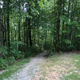 Review photo of Bandy Creek Campground — Big South Fork National River and Recreation Area by Lori H., August 28, 2019