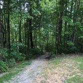 Review photo of Bandy Creek Campground by Lori H., August 28, 2019
