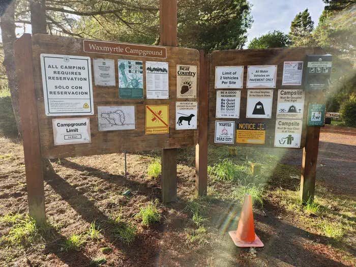 Camper submitted image from Waxmyrtle Campground - 1