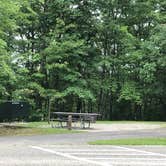 Review photo of Bandy Creek Campground — Big South Fork National River and Recreation Area by Lori H., August 28, 2019