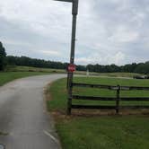 Review photo of Bandy Creek Campground — Big South Fork National River and Recreation Area by Lori H., August 28, 2019