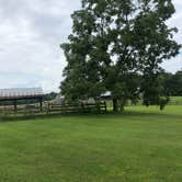 Review photo of Bandy Creek Campground — Big South Fork National River and Recreation Area by Lori H., August 28, 2019