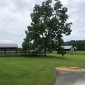 Review photo of Bandy Creek Campground — Big South Fork National River and Recreation Area by Lori H., August 28, 2019