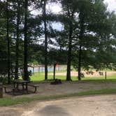 Review photo of Bandy Creek Campground — Big South Fork National River and Recreation Area by Lori H., August 28, 2019