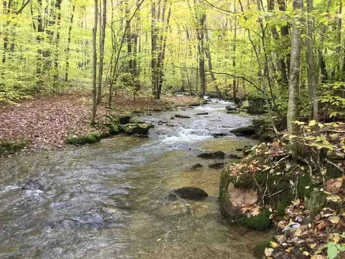 Camper-submitted photo at Dewdrop near Bradford, PA