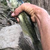 Review photo of McKinney Falls State Park Campground by Kingrex49 M., August 28, 2019