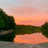 Review photo of Turkey Swamp Park by Doug , August 28, 2019