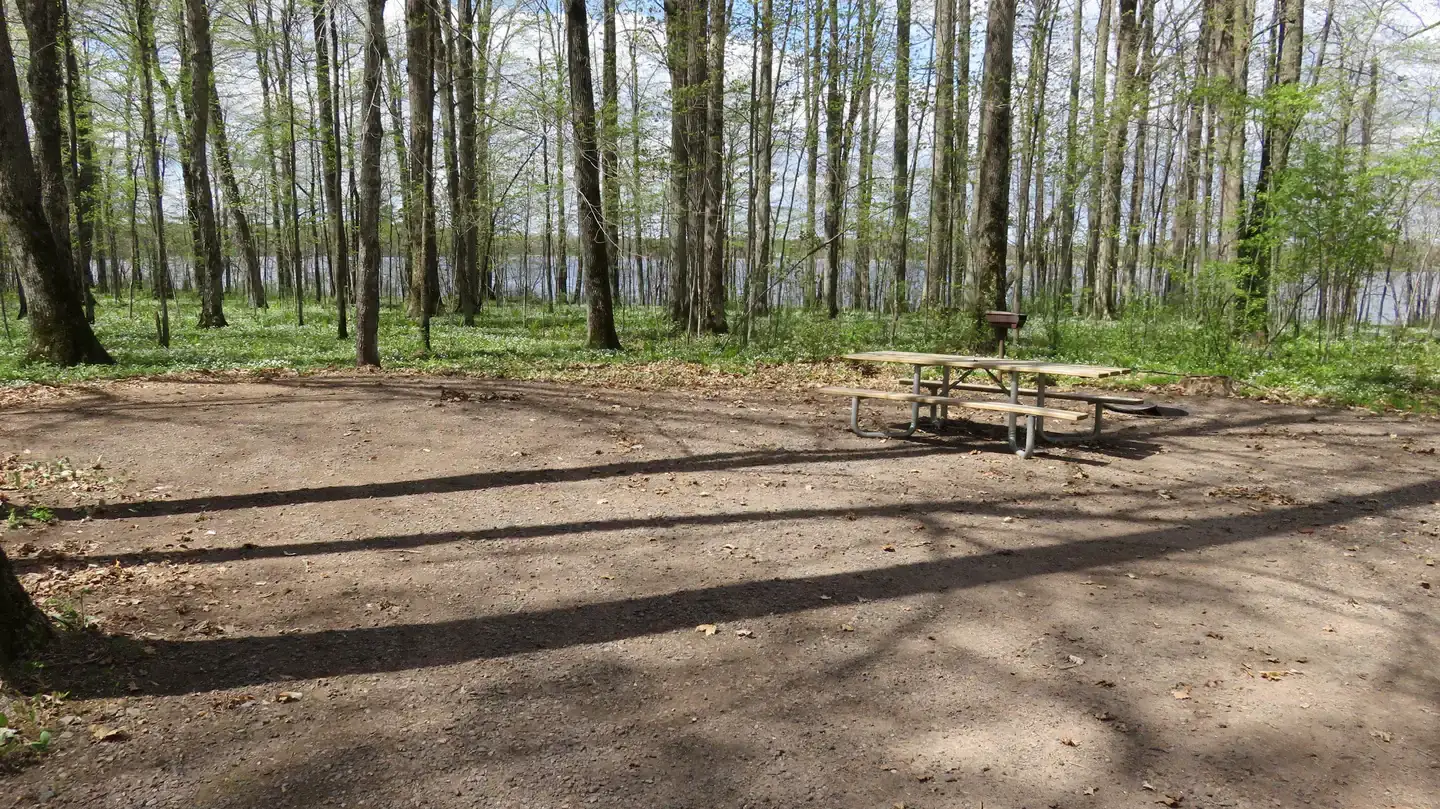 Camper-submitted photo at Chippewa NF Campground near Westboro, WI