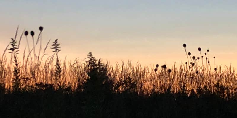 Camper submitted image from Timber Lake Resort