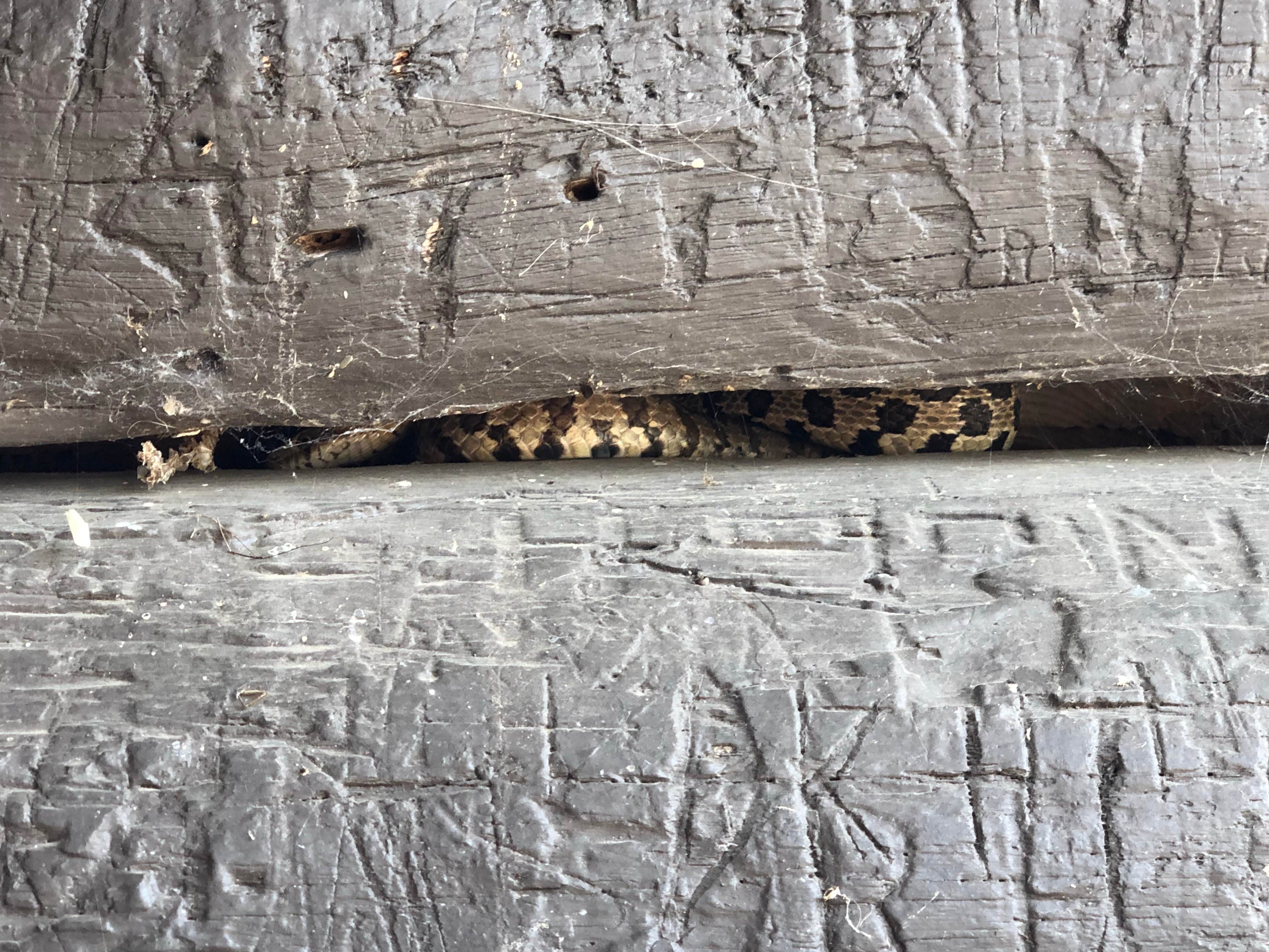 Camper-submitted photo at Perrot State Park Campground near Money Creek, MN