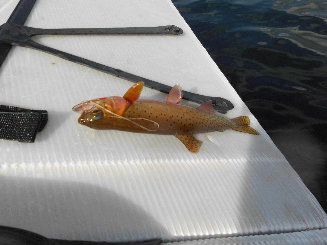 Camper-submitted photo at Fish Lake Trailhead near Superior, MT