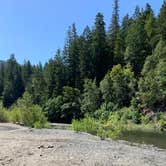 Review photo of Giant Redwoods RV & Cabin Destination by Kathleen  D., August 28, 2019