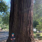 Review photo of Giant Redwoods RV & Cabin Destination by Kathleen  D., August 28, 2019