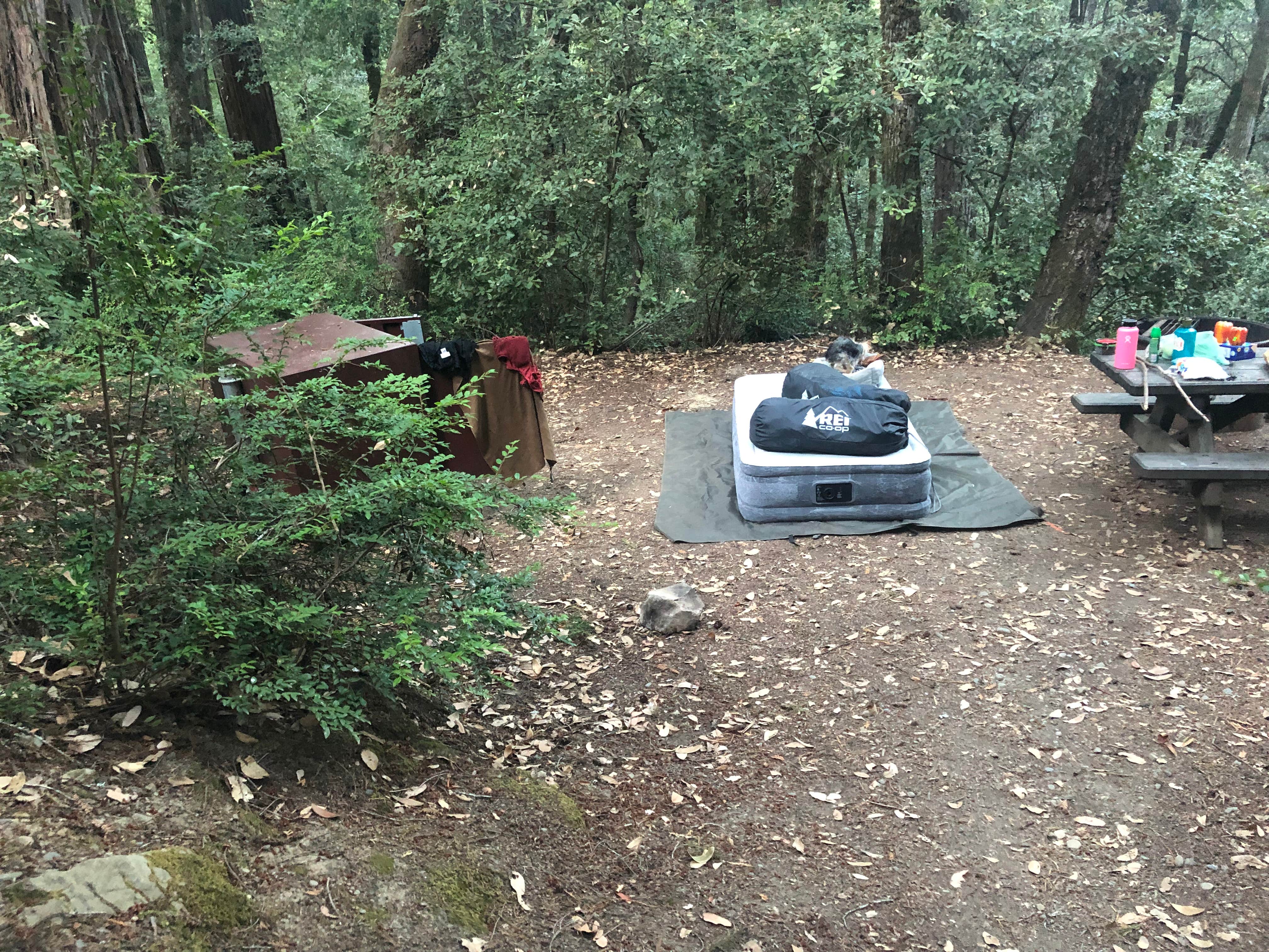 Camper submitted image from Hidden Springs Campground — Humboldt Redwoods State Park - 4