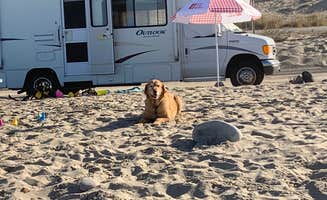 Kathleen D.'s photo of camping with pets at Thornhill Broome Beach — Point Mugu State Park near Oxnard, CA